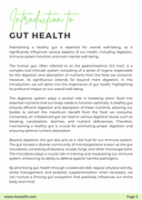 Load image into Gallery viewer, Complete Guide to Gut Health